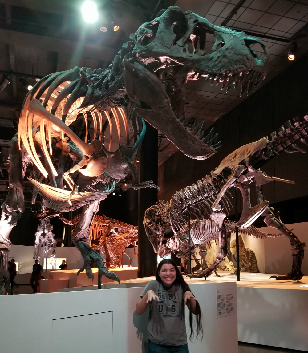 Visit Houston Museum Of Nature And Science Dinosaur T-Rex