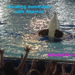 Our Time At AdventureCon14 in SeaWorld San Antonio