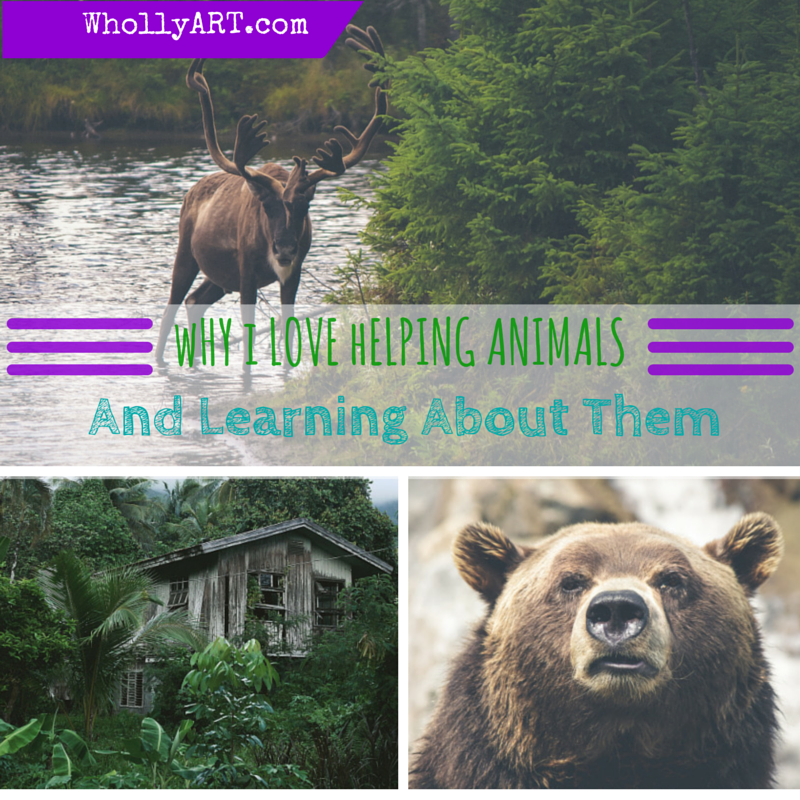 Why I love helping animals and learning about them - WhollyART