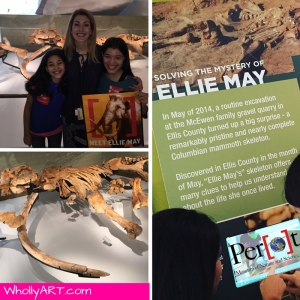 Ellie May Perot Museum of Nature and Science - WhollyART