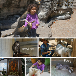 An Amazing Family Adventure At The Dallas Zoo Lacerte Family Children's Zoo