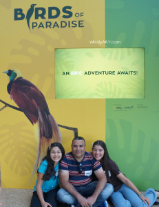 Birds of Paradise at the Perot Museum of Nature and Science - Epic adventure awaits you!