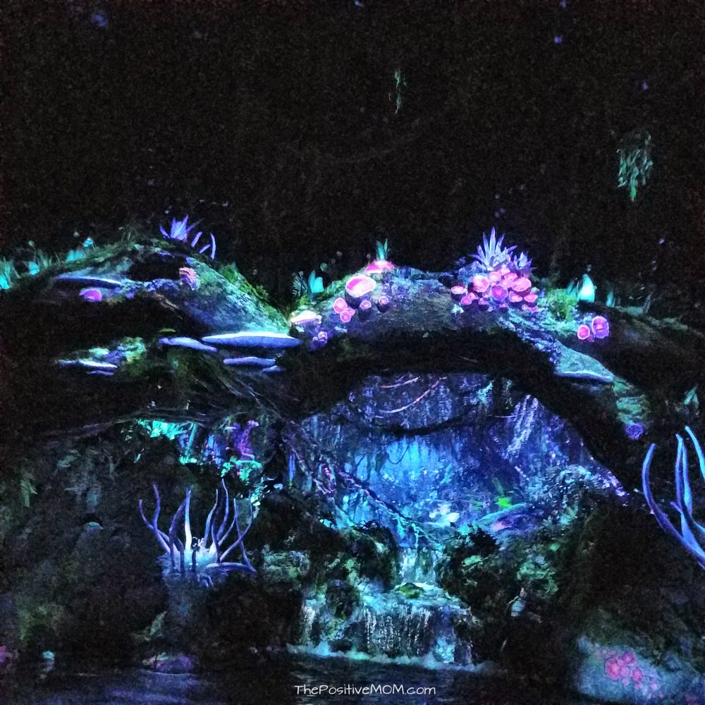 Pandora Na'avi River Journey