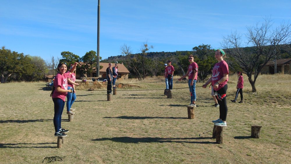 The Great Outdoors - stump pull